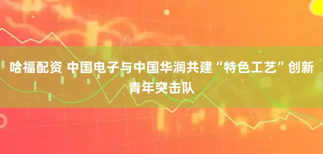 哈福配资 中国电子与中国华润共建“特色工艺”创新青年突击队