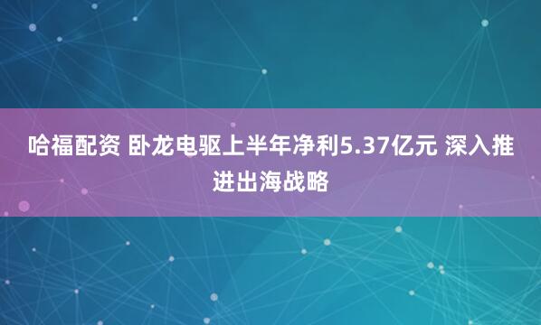 哈福配资 卧龙电驱上半年净利5.37亿元 深入推进出海战略