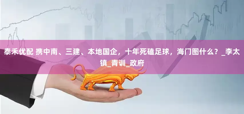 泰禾优配 携中南、三建、本地国企，十年死磕足球，海门图什么？_李太镇_青训_政府
