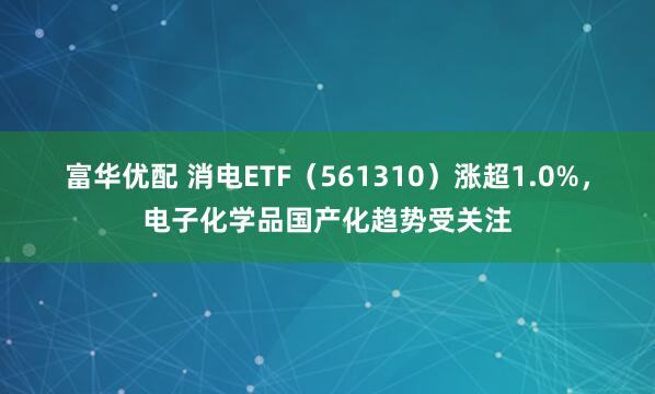 富华优配 消电ETF（561310）涨超1.0%，电子化学品国产化趋势受关注