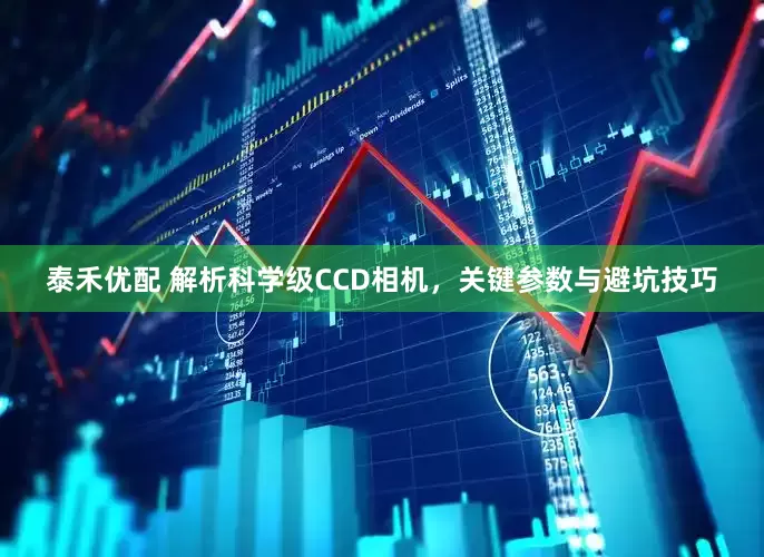泰禾优配 解析科学级CCD相机，关键参数与避坑技巧