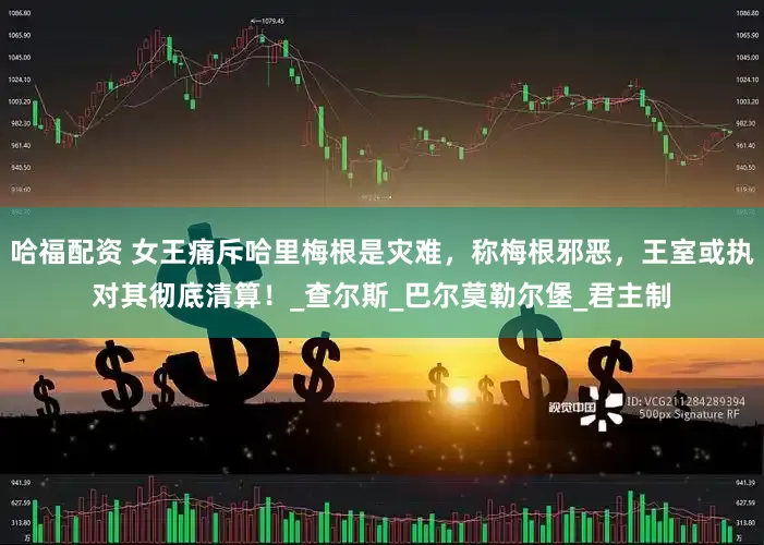 哈福配资 女王痛斥哈里梅根是灾难，称梅根邪恶，王室或执对其彻底清算！_查尔斯_巴尔莫勒尔堡_君主制