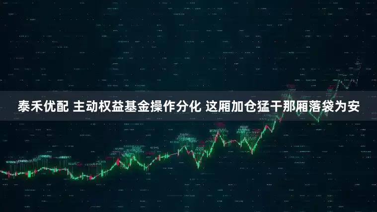 泰禾优配 主动权益基金操作分化 这厢加仓猛干那厢落袋为安