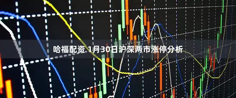 哈福配资 1月30日沪深两市涨停分析
