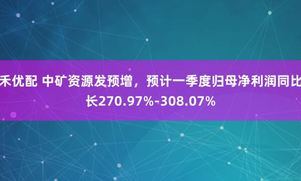 泰禾优配 中矿资源发预增，预计一季度归母净利润同比增长270.97%-308.07%